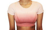 ELEVATE SEAMLESS OMBRE CROP TOP PINK